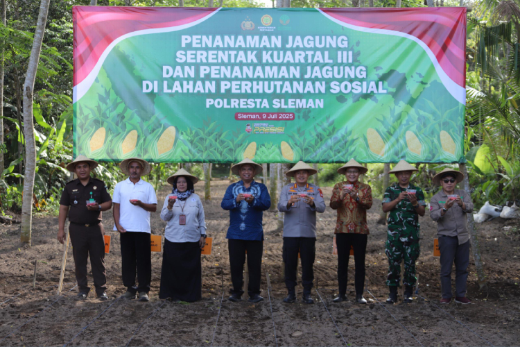 Bupati Sleman dan Polresta Tanam Jagung Serentak Dukung Swasembada Pangan 2025