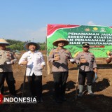 Sinergi Polres Majalengka dan Petani Dorong Ketahanan Pangan Berkelanjutan