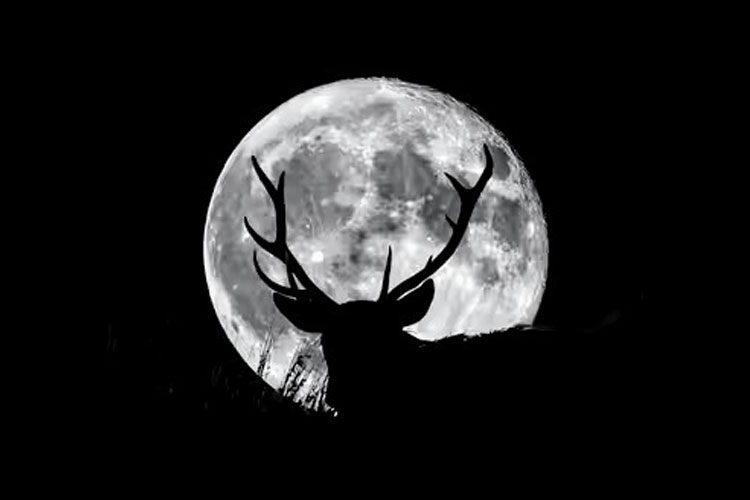 Bulan-Purnama.jpg