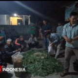 Mahasiswa STISIP Bina Putera Banjar Latih Peternak Sindangasih Buat Pakan Silase