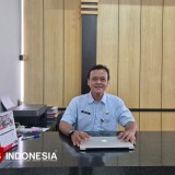 Kasus Leptospirosis di Bantul 2025 Tertinggi dalam Tiga Tahun Terakhir