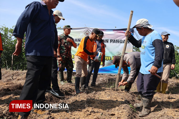 Bumiaji-menanam-biji-jagung-3.jpg