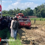 Wamentan Minta Sawah di Jember Dapat Ditanami Tiga Kali Setahun