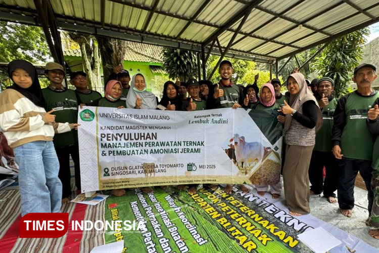 Mahasiswa KMM Unisma Malang menggelar penyuluhan manajemen perawatan ternak dan pembuatan amoniasi jerami kepada peternak sapi di dusun glatik. (FOTO: AJP TIMES Indonesia)