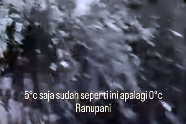 Kawasan Ranu Pani Dilanda Embun Es, Suhu Capai 5 Derajat Celcius