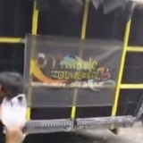 Karnaval Sound Horeg di Kota Malang Picu Perkelahian, MUI: Ini Mudarat-nya Besar