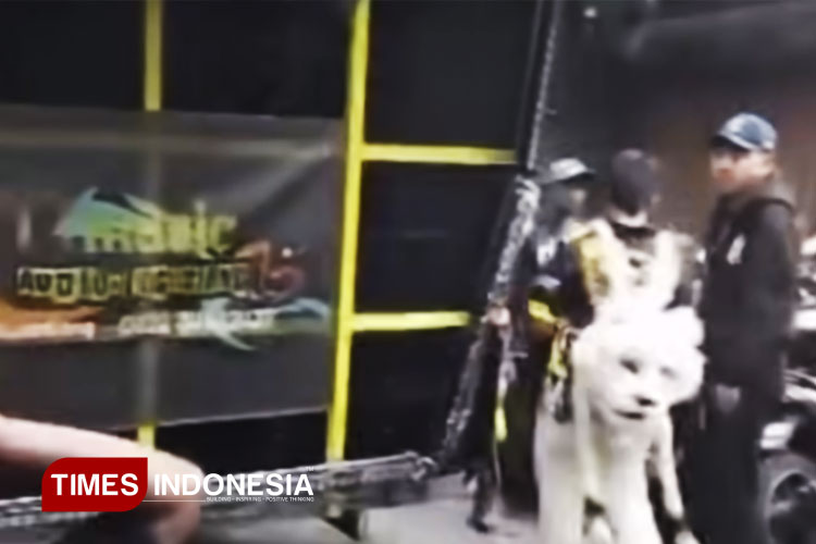 Kronologi Kericuhan Karnaval Mulyorejo Kota Malang, Gegara Suara Sound Horeg