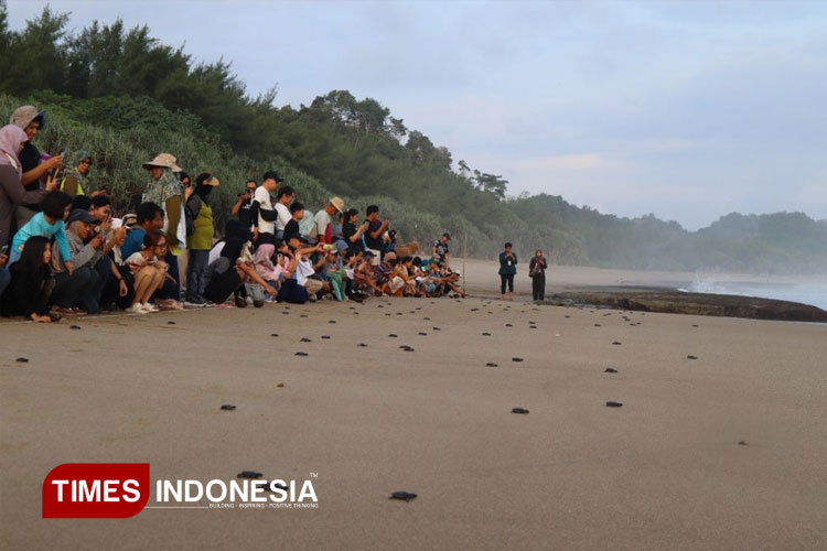 Pelepasan-Tukik-Penyu.jpg