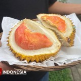 Setelah IG Kopi Robusta Blambangan, Banyuwangi Patenkan Durian Merah