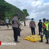 Diduga Korban KMP Tunu Pratama Jaya, Jasad Perempuan Ditemukan di TN Alas Purwo