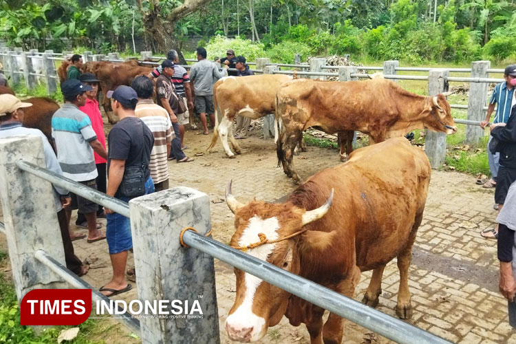 SApi.jpg