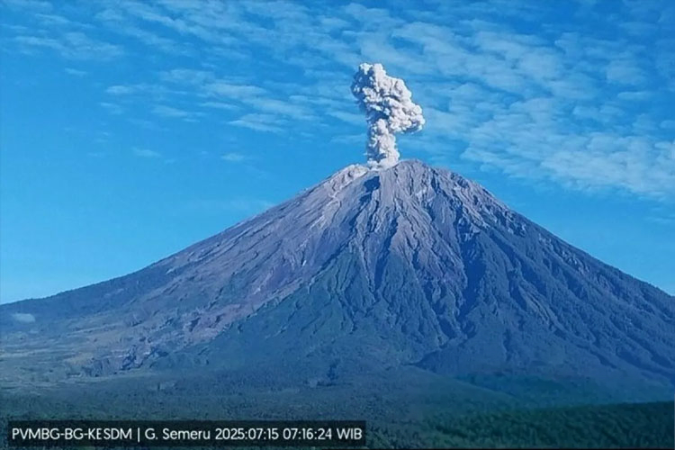 Gunung Semeru erupsi dengan tinggi letusan mencapai 1,2 km di atas puncak, Selasa (15/7/2025). (FOTO: PVMBG)