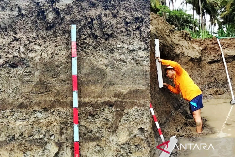 Riset yang dilakukan Badan Riset dan Inovasi Nasional (BRIN) dalam menemukan endapan tsunami purba berusia sekitar 1.800 tahun di Kulon Progo, Yogyakarta. (FOTO: ANTARA/HO-BRIN)