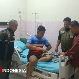 Cerita Petugas Damkar Bondowoso Digigit Ular Hijau Ekor Merah Saat Evakuasi