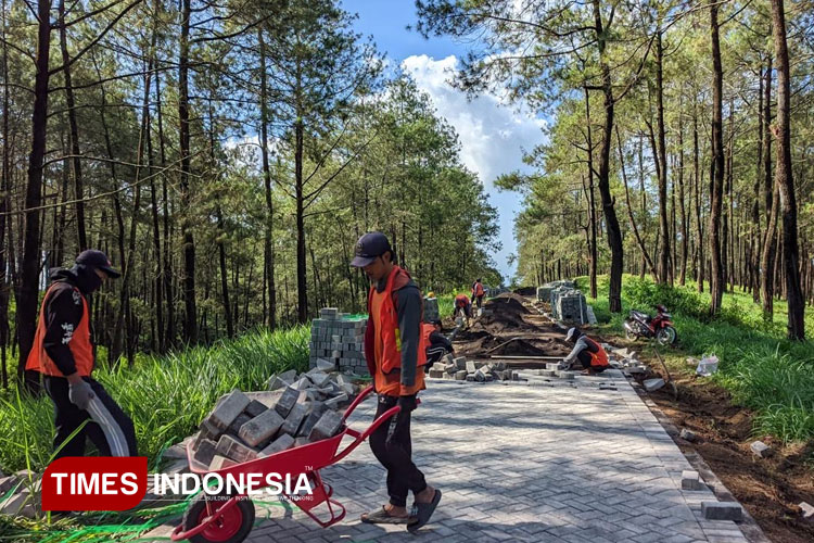 paving-2.jpg