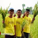 Wujudkan Transformasi Pertanian Berkelanjutan, Pupuk Kaltim Raih Penghargaan AREA 2025