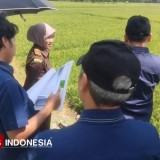 Pulihkan Kerugian Negara, Kejari Majalengka Survei Aset Tanah Pidsus