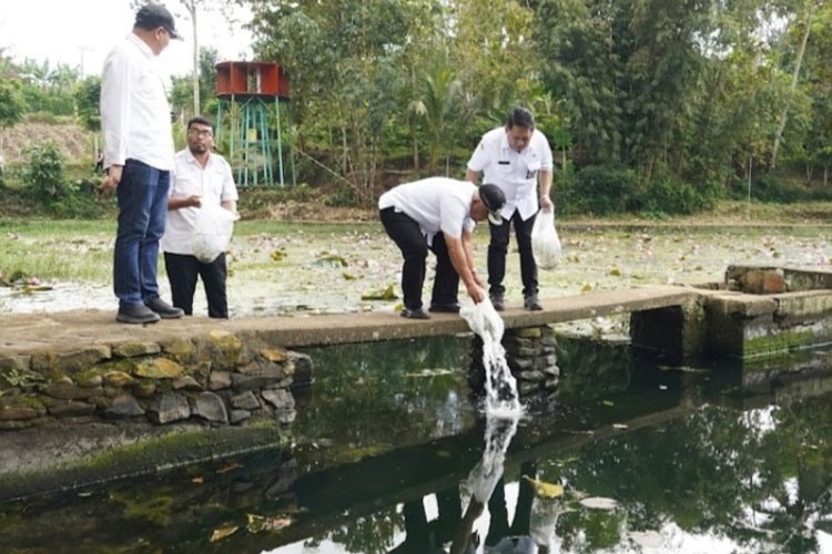 Bupati Malang HM Sanusi, didampingi Kepala Dinas Perikanan Kabupaten Malang, menebar benih ikan ke kolam budidaya desa yang ada di Kecamatan Sumbermanjing Wetan, Kabupaten Malang, sebagai dukungan pada perikanan lokal. (Foto: Prokopim)