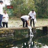 Produksi Capai 5 Ribu Ton, Pemkab Malang Bantu Benih Budidaya Ikan Nila
