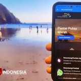 Ini 8 Inovasi Unggulan Banyuwangi Ubah Wajah Pariwisata dan Kebudayaan Daerah
