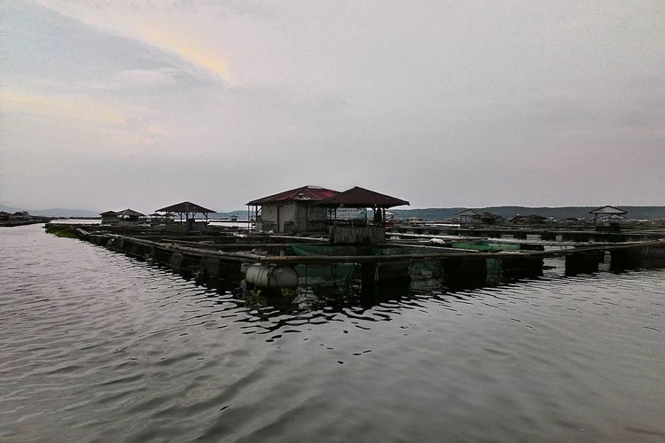 Soal Klaim Merkuri di Ikan Waduk Cirata, Nelayan Cianjur Tuntut Data Valid Menteri KKP RI