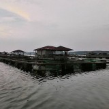 Klaim Ikan Cirata Mengandung Merkuri, Nelayan Cianjur Tuntut Data Valid Menteri KKP RI