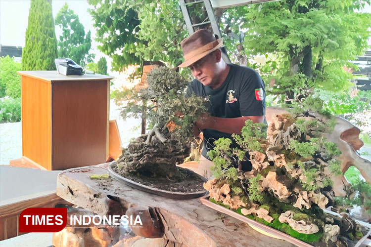 Budidaya Bonsai di Jombang Tembus Puluhan Juta, Gus Masrur Bagikan Tips untuk Pemula