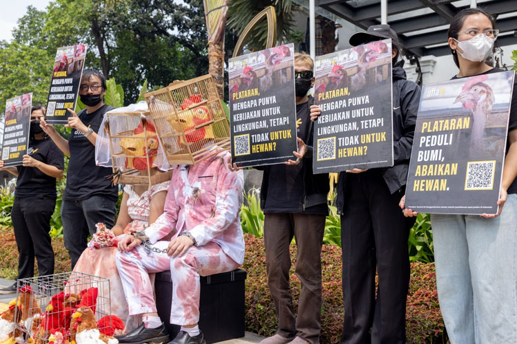 Aktivis Hewan Desak Bisnis Perhotelan Mewah Terapkan Kebijakan Telur Bebas Sangkar