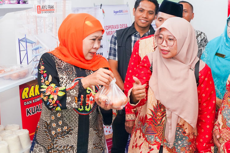 Koperasi-3.jpg