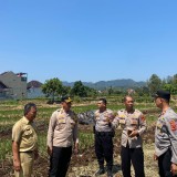 Polres Majalengka Dorong Pemulihan Ekonomi Berbasis Pertanian
