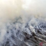 BNPB: Karhutla Dominasi Bencana Awal Juli 2025, Sumatera dan Kalimantan Jadi Fokus