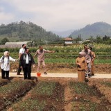 Kawasan Pertanian di 5 Desa di Kabupaten Malang Sukses Manfaatkan Program UPLAND