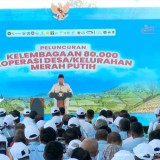Koperasi Desa Merah Putih Didorong Jadi Solusi Pangan
