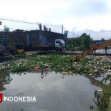 Cegah Banjir, Dinas PUBMSDA Sidoarjo Bersihkan Sungai dari Sampah dan Eceng Gondok