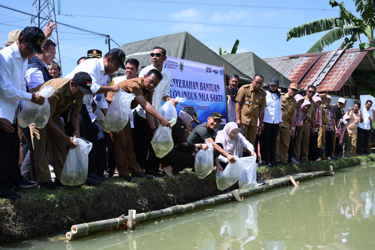 budidaya-2.jpg