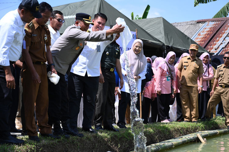 budidaya-3.jpg