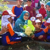 Hari Anak Nasional di Surabaya, Siswa TK-SD Diajak Panen Sayur dan Ikan