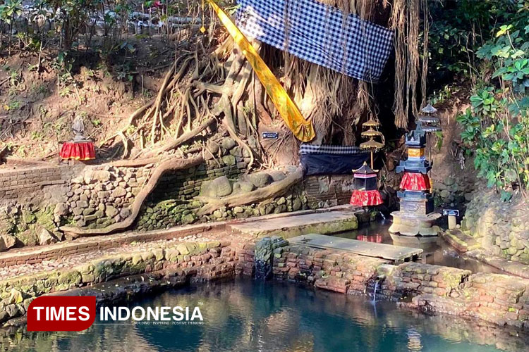 Suasana tenang dan asri di Petirtaan Watugede, Singosari, Malang. Kolam pemandian ini dipercaya sebagai peninggalan Kerajaan Majapahit dan masih mengalir hingga kini. (FOTO: Ardana Pramayoga/TIMES Indonesia)