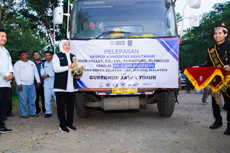 perhutanan-3.jpg