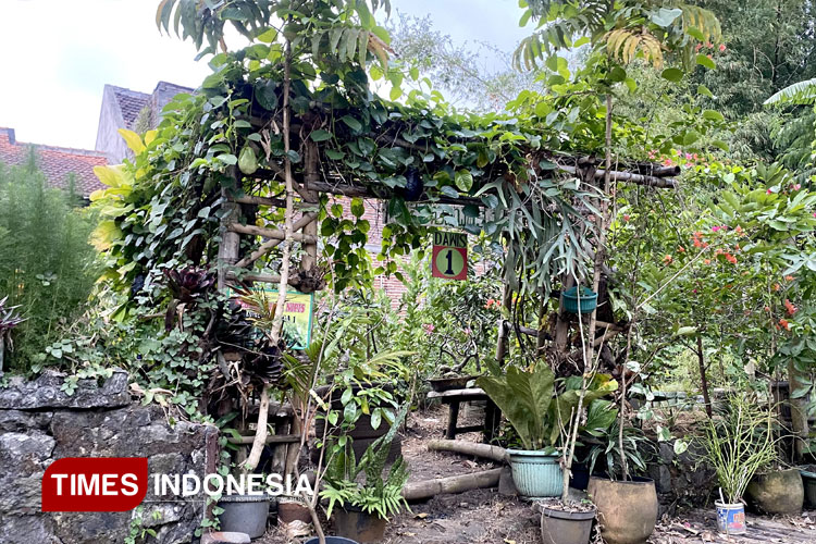 Salah satu ladang Dasa Wisma di kawasan Kampung Semar, Arjosari, Kota Malang yang segar, asri, dan menyejukkan. (FOTO: Almas Elmadina Aisyah)