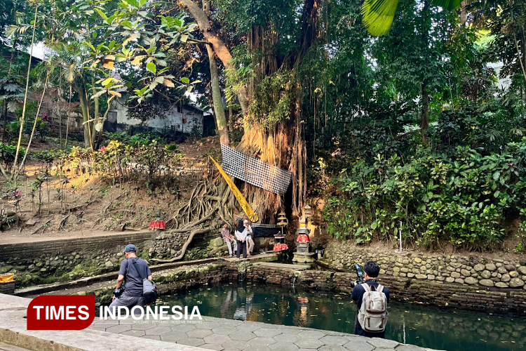 Pengunjung memotret area sekitar sumber mata air di bawah pohon Lo yang ada di sekitar Petirtaan Watugede. (FOTO: Ardana Pramayoga/TIMES Indonesia)