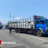 Ini Penyebab Macet Panjang Pelabuhan Ketapang-Gilimanuk Banyuwangi