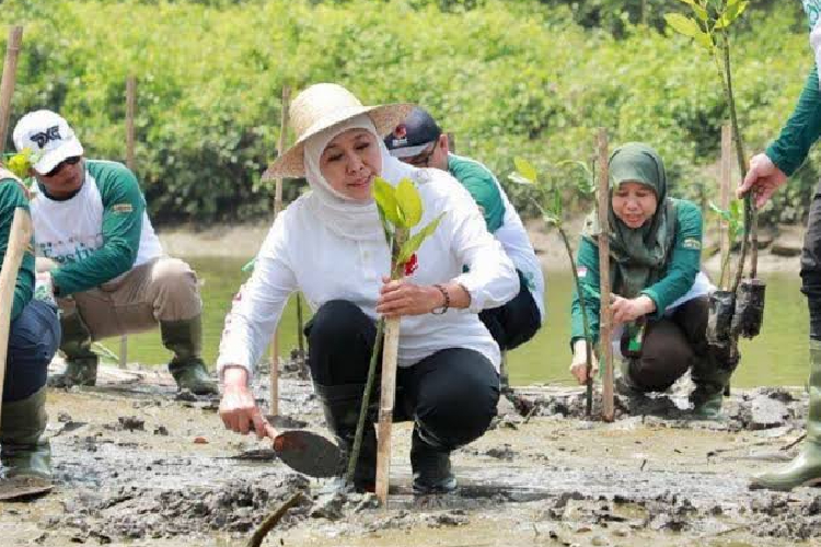 Hutan Mangrove Jatim Terluas di Pulau Jawa, Gubernur Khofifah Ajak Masyarakat Sedekah Oksigen