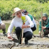 Hutan Mangrove Jatim Terluas di Pulau Jawa, Gubernur Khofifah Ajak Masyarakat Sedekah Oksigen