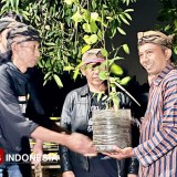 Spirit Kuat Situs Wurandungan dalam Umbul Dungo Puja Bekti