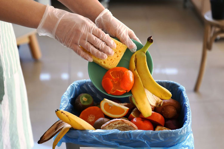 ilustrasi - Food Waste (FOTO: SHUTTERSTOCK/Pixel-Shot)