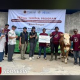 Peternakan Sapi Binaan BNPT di Malang Kembangkan Sistem Modern, Potensi Ekonomi Fantastis