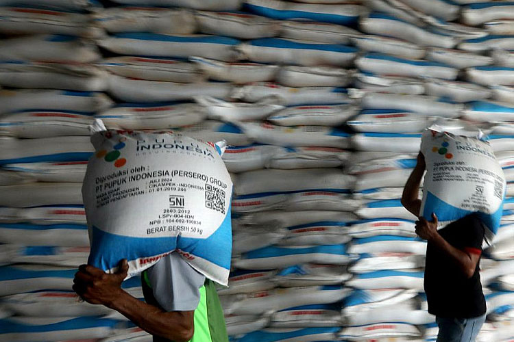 Ilustrasi - Pupuk Bersubsidi (Foto: Net)