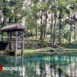 Ikan Dewa dan Misteri Telaga Rambut Monte di Blitar