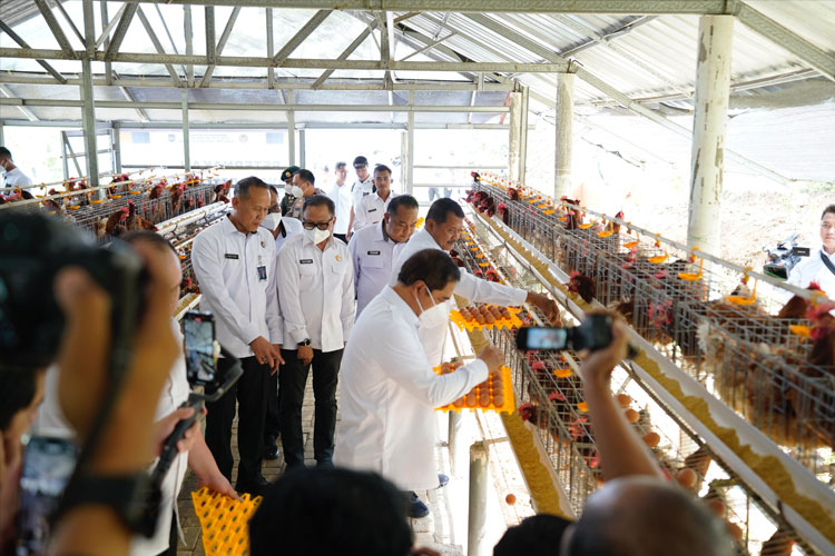 Menteri Imigrasi dan Pemasyarakatan Tinjau SAE L’Sima Malang, Dorong Sinergi Ketahanan Pangan Nasional